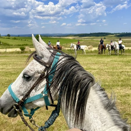 Évasion à Cheval en Ardèche : Volcans, Forêts et Baignade