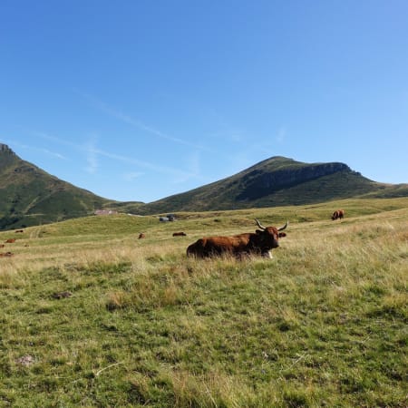 Le tour du Cantal