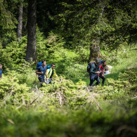 Break mille étangs : multisport au cœur des Vosges