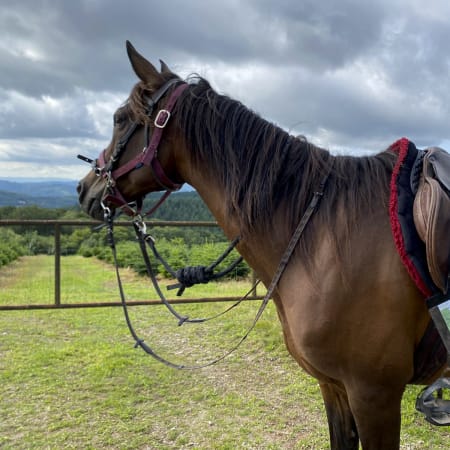 Rando liberté en Morvan