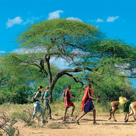 Pays Masaï et faune d'Afrique