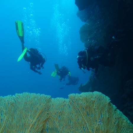 Mayotte - Groupe Club de Plongée auto-encadrée - plongée sur la double barrière de corail de Mayotte