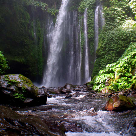 Aventures à Bali - Vol retour de jour