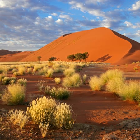 Découverte de la Namibie