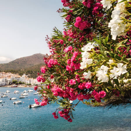 Découverte Sport & Culture