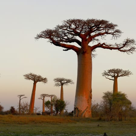 Paysages de Madagascar