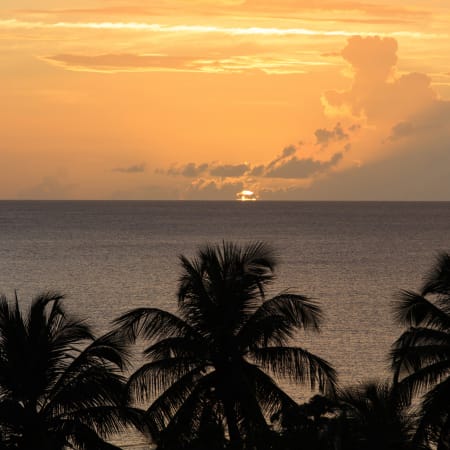 Plongée exploration / Découverte en Liberté de la Martinique 8 jours
