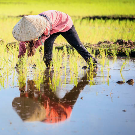 Aventures au nord Laos