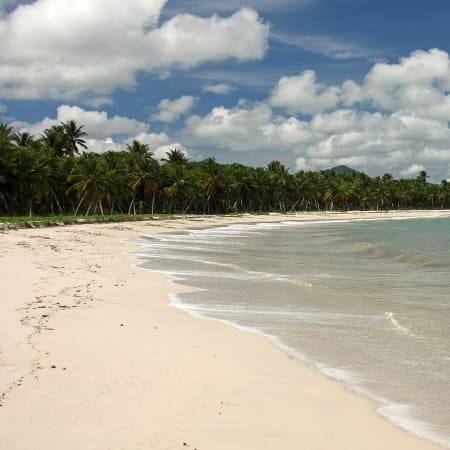 LES SAINTES -Famille - Découverte Saintoise 6-11 ans - 8 jours