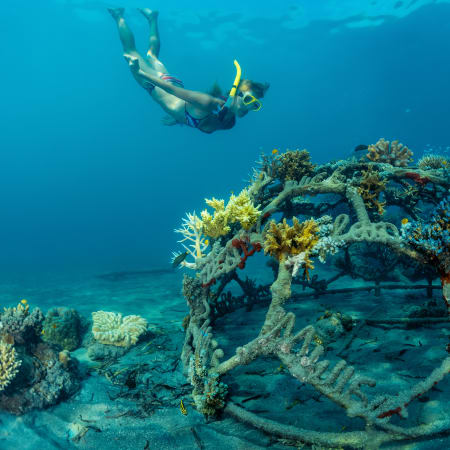 Séjour Club - Plongée auto-encadrée dans la magnifique réserve naturelle de Bali Barat - 8 jours