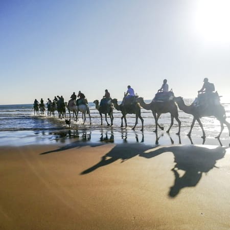 Sunny Sunny  Week 18-30 ans-Essaouira