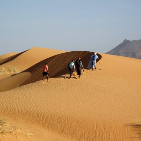 Dunes et palmeraies d'Amatlich