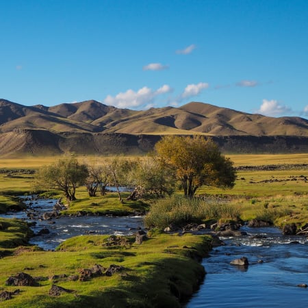 Immersion nomade en Mongolie