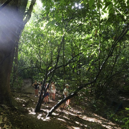 Plongée exploration & Découverte Martinique