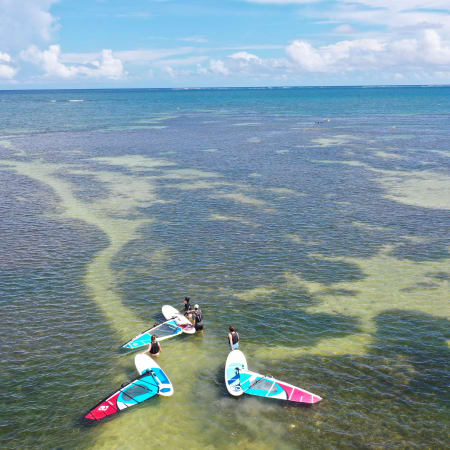 Windsurf & free session en 11 jours