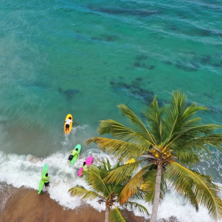 Surf & Wingfoil en 8 jours