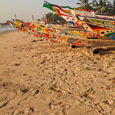 Surf et Découverte