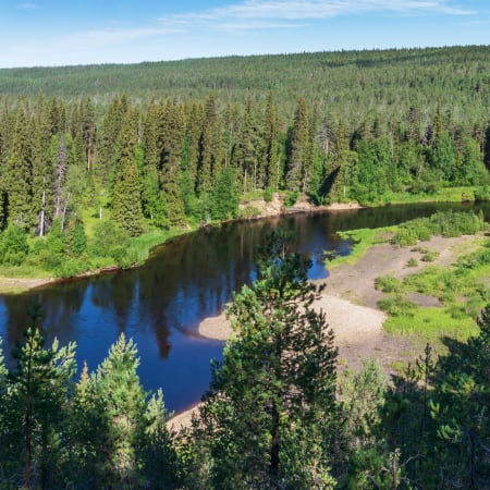 Karhunkierros : trek aventure et bivouac en forêt boréale
