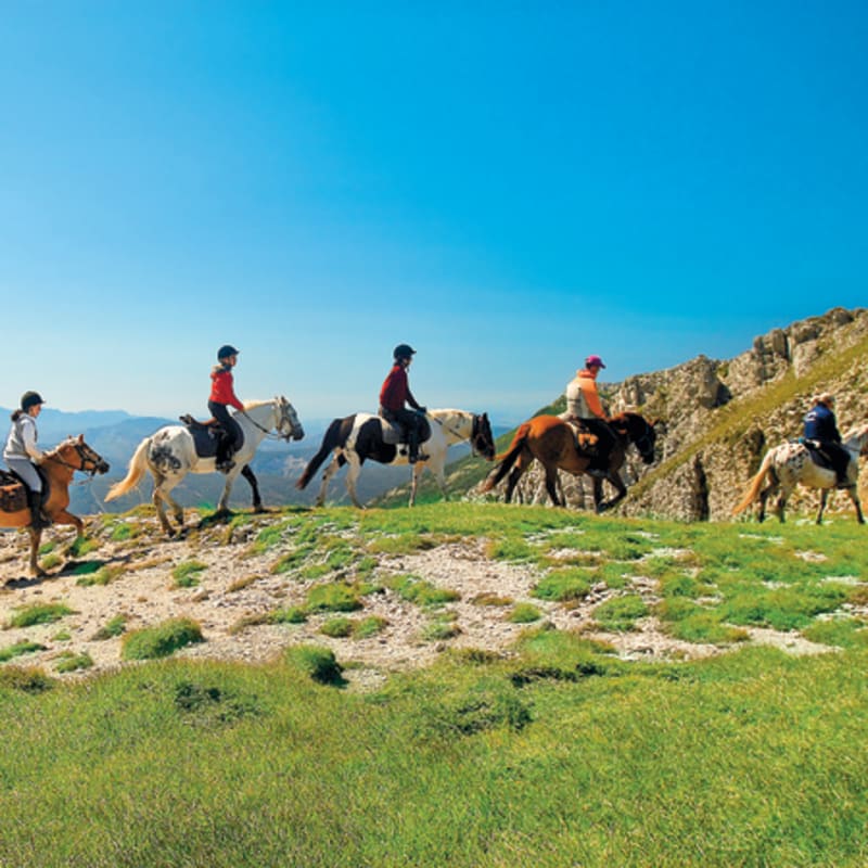 Le Vercors à cheval
