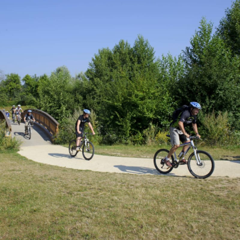 VTT / Multisports