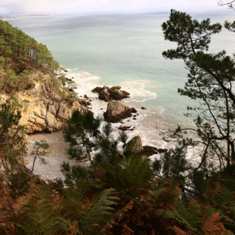 Nouvel An à Crozon : Randonnée, Jeux de Société et Culture Bretonne