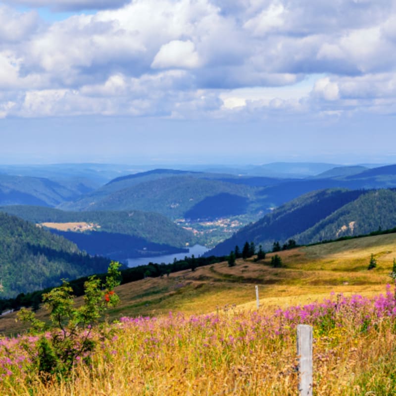 Break dans les Vosges : le Hohneck