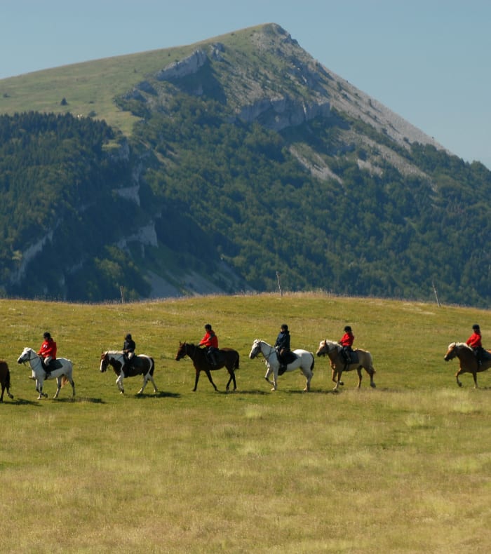Groupe de jeunes cavaliers en équitation dans un pré alpin avec montagne boisée en arrière-plan
