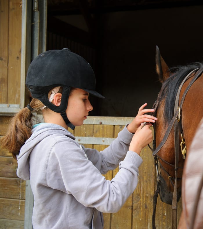 Ecole d'équitation