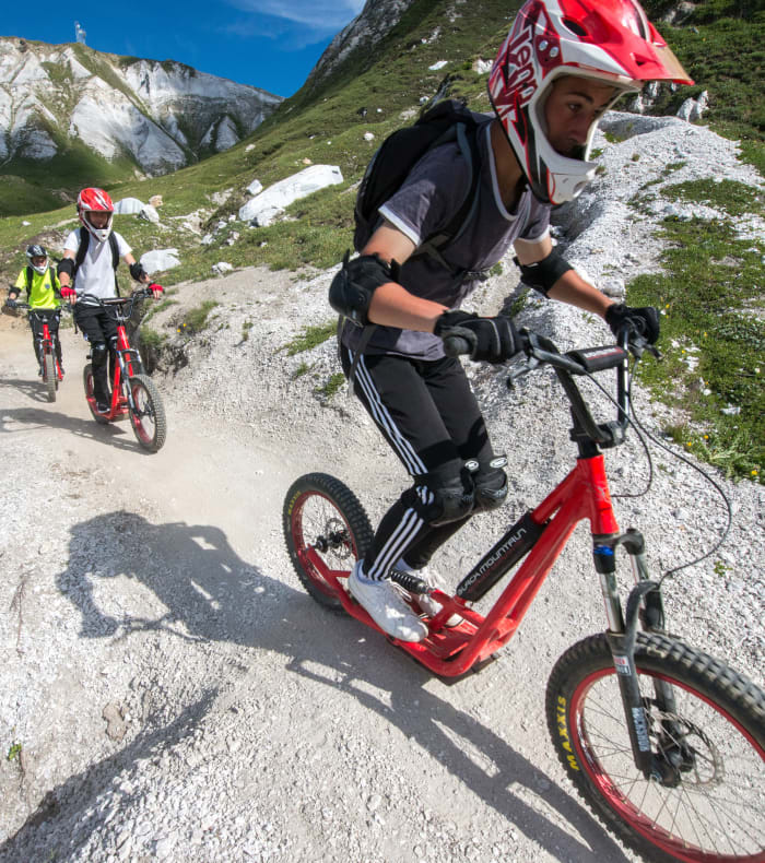 Cyclistes en VTT découvrant la montagne avec paysage alpin verdoyant et sommets enneigés en arrière-plan