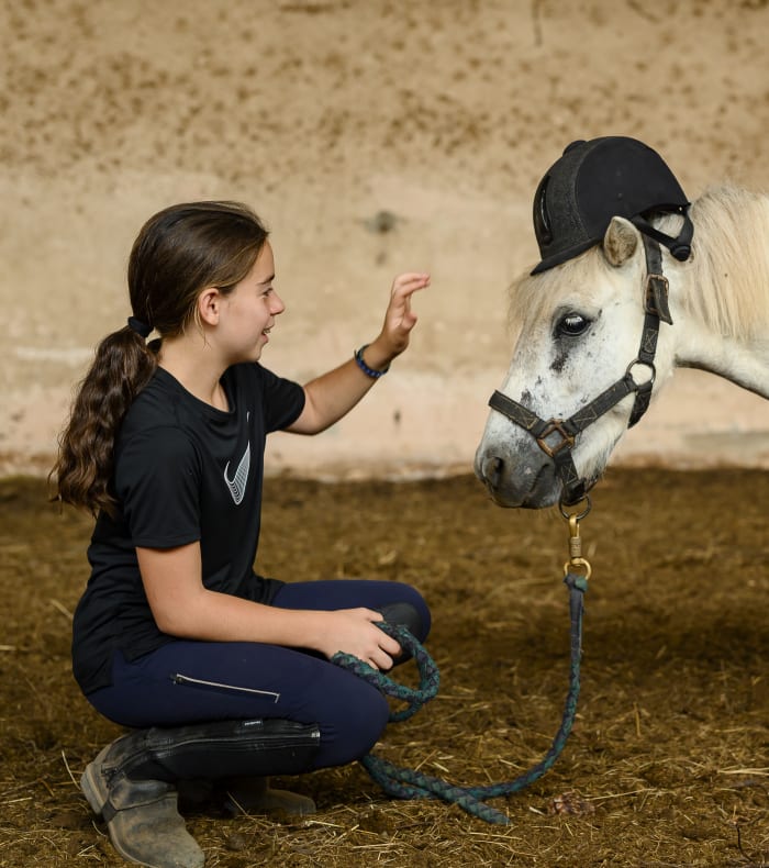 Découverte de l'équitation
