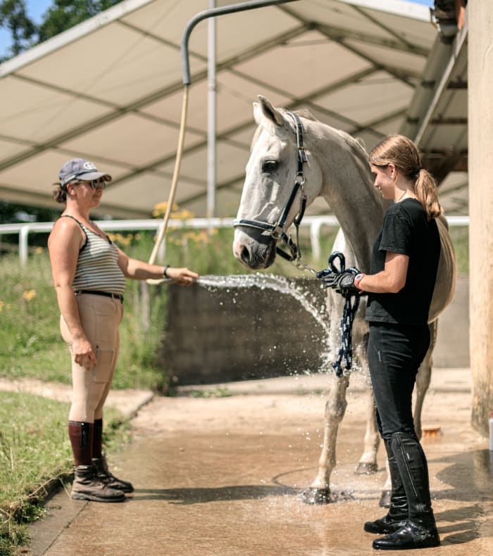 Jeunes cavaliers lavant un cheval gris dans une écurie bretonne pendant un séjour équestre