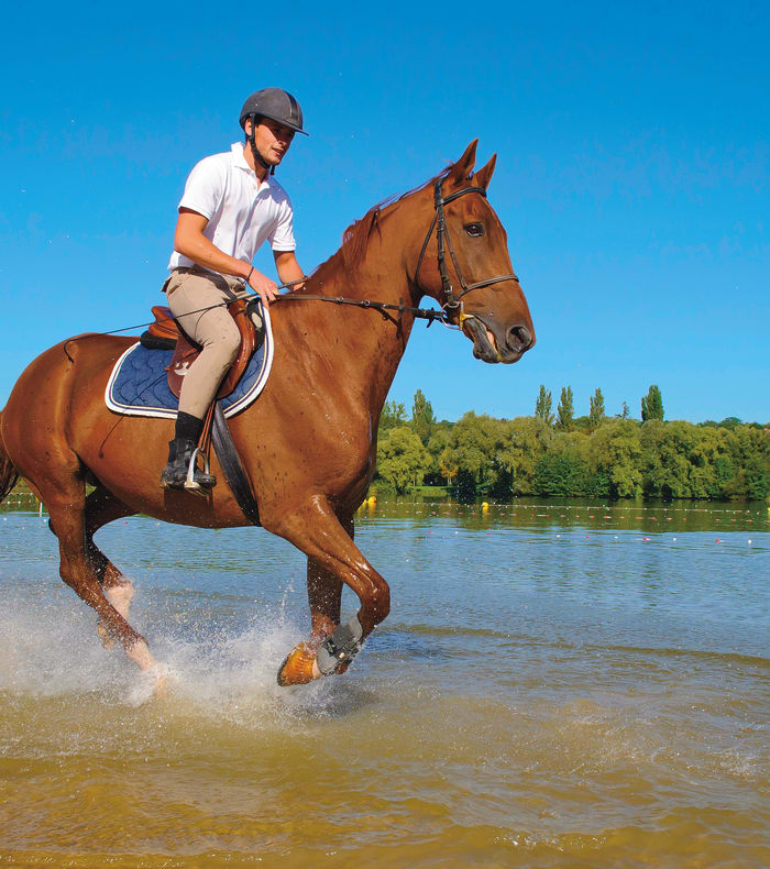 Weekend Équitation perfectionnement - Sans hébergement