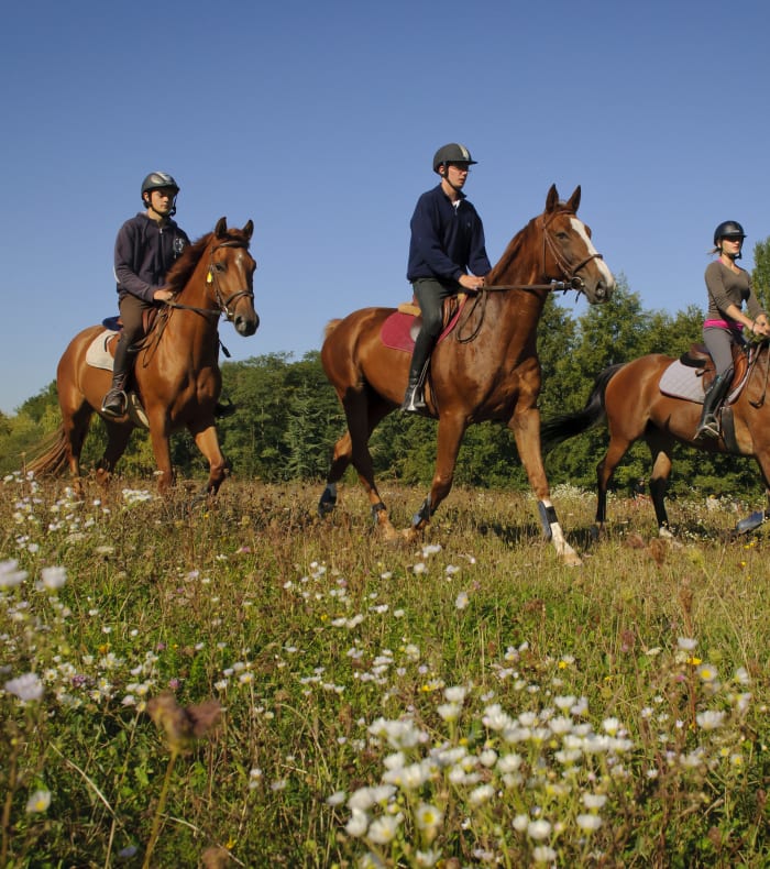 Week-End Equitation intermédiaire