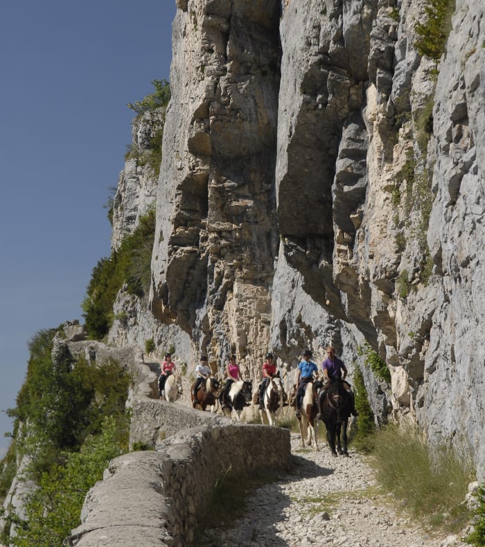 Groupe de cavaliers en itinérance équestre traversant une gorge calcaire du Parc du Vercors