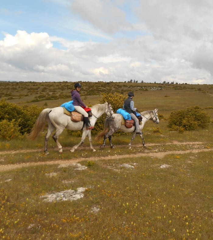 Randonnée équestre en Margeride avec deux cavaliers sur chevaux traversant les landes verdoyantes et vallonnées