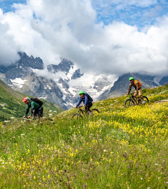 VTT descente Evasion en montagne avec cyclistes sur prairie fleurie et pics rocheux enneigés en arrière-plan