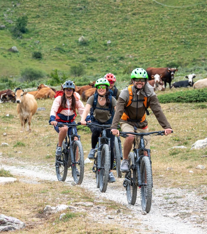 Trois cyclistes en VTT sur un sentier montagnard du Briançonnais avec troupeau de chèvres et paysage alpin herbeux
