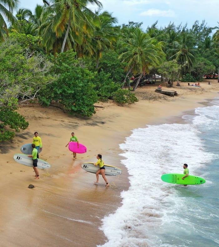 Surfeurs avec planches colorées dans l'eau turquoise des Antilles, plage de sable fin bordée de palmiers et végétation tropicale
