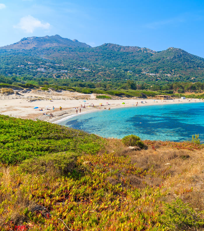 Plage de sable fin avec eaux turquoise en Corse, montagne boisée et falaises, idéale pour croisière voilier Ajaccio îles Sardes