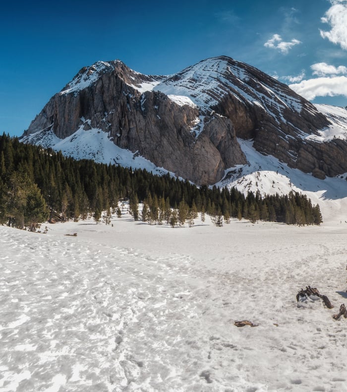 Vallée de Piñeta enneigée avec le Mont-Perdu dominant les canyons rocheux et forêts de sapins en hiver