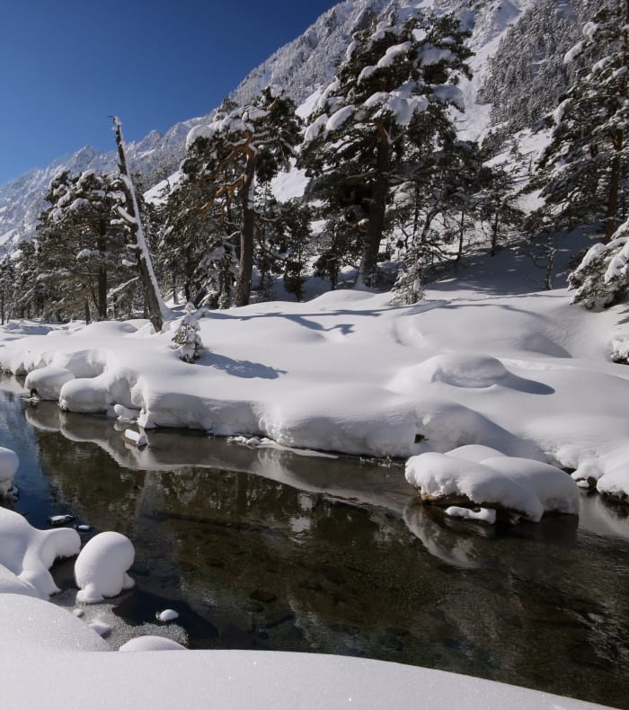 Paysage hivernal des Pyrénées avec ruisseau enneigé, forêt de sapins et montagnes enneigées en arrière-plan