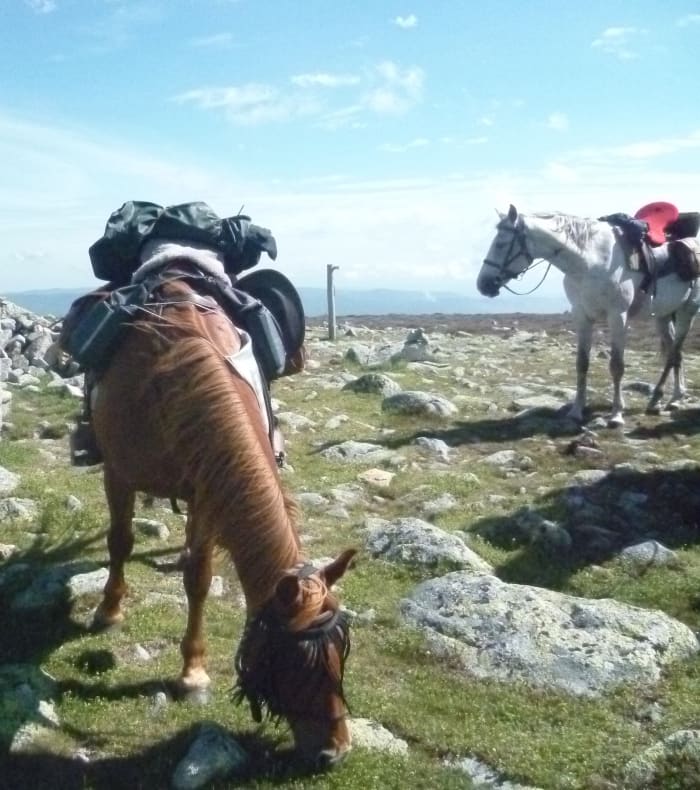 Ryttereventyr på Mont Lozère — billede 2