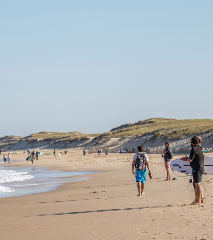 Plage de Lacanau avec baigneurs et surfeurs sur le sable face à l'océan Atlantique et dunes boisées