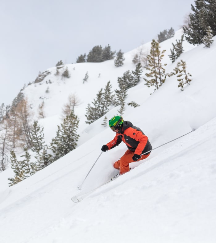 Freerando ski — billede 2