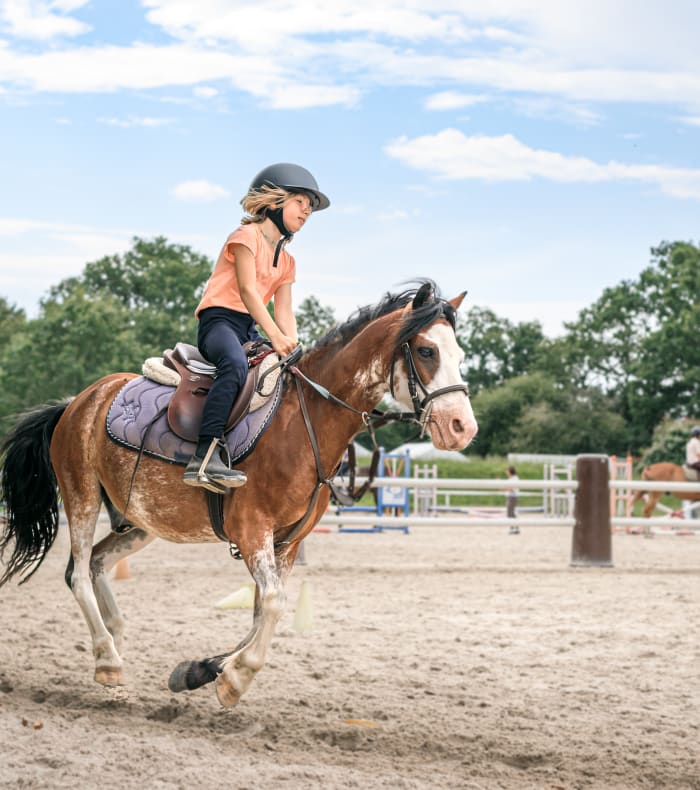 Enfant en équitation montant un cheval bai dans une carrière avec obstacles d'entraînement