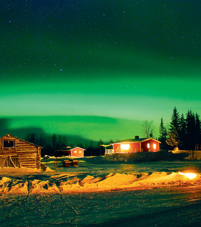 Arktisk pulk eventyr — billede 2