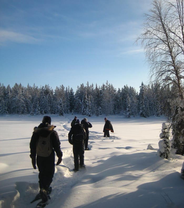 Arktisk pulk eventyr — billede 3