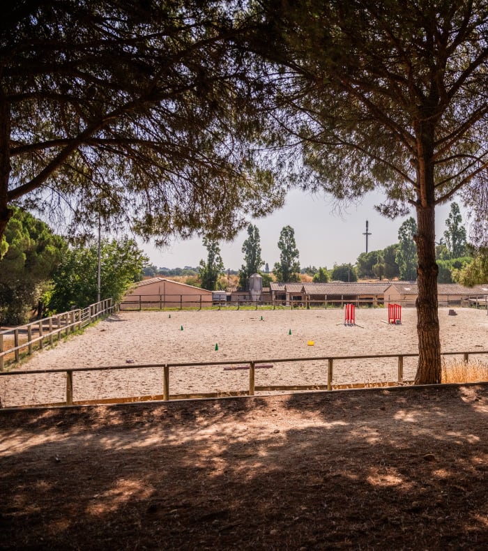 Vue sur la carrière du centre équestre UCPA Grammont-Montpellier
