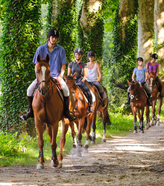 Week end equestre : nos week end a cheval pour débutants ou cavaliers  confirmés - Caval&go