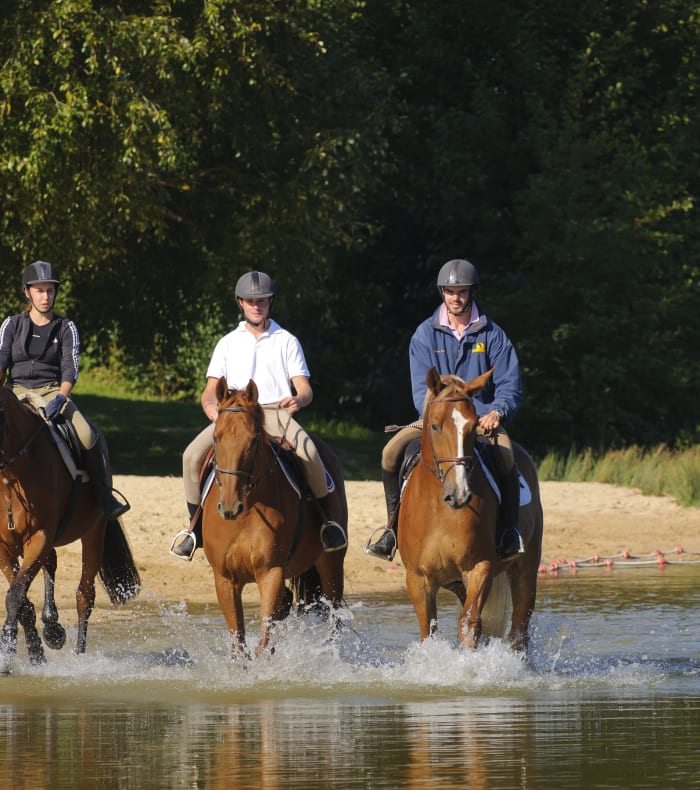 Deux cavaliers à cheval dans un paysage verdoyant pour un programme d'équitation débutant